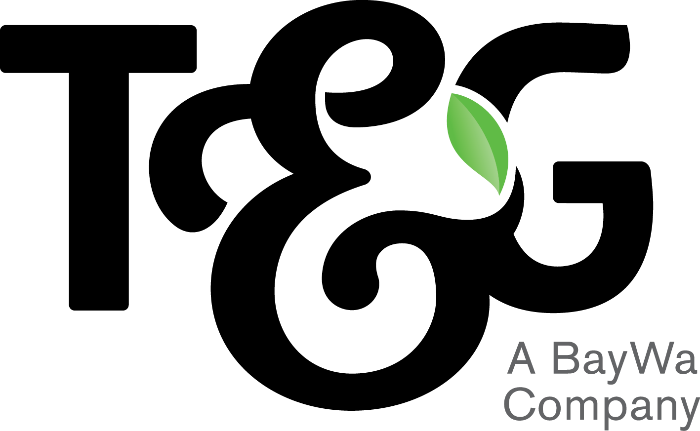 auth.tandg.app logo